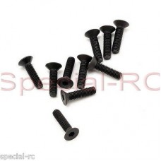 M3x12mm FH/ST HEX Screw